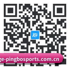 iPhone APP 二维码
